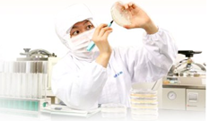 �Ȃ����ꂢ�y�f